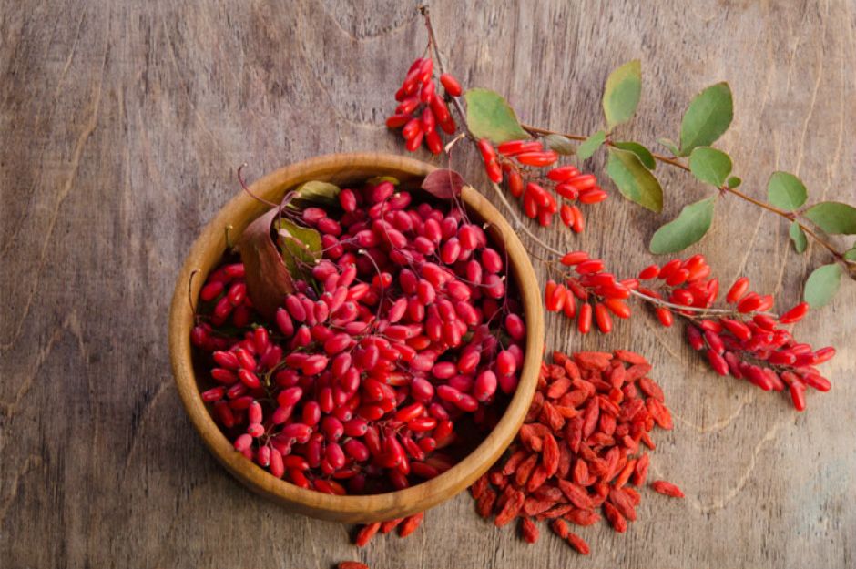 Goji berry nedir?